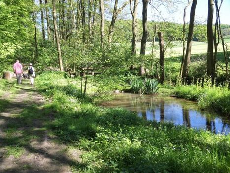 Wanderwege direkt vom Haus aus...