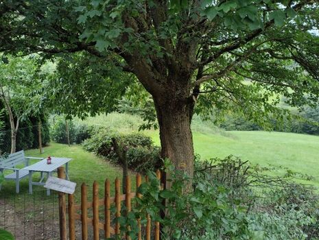 Neugestaltung im Garten...Natur hautnah erleben...