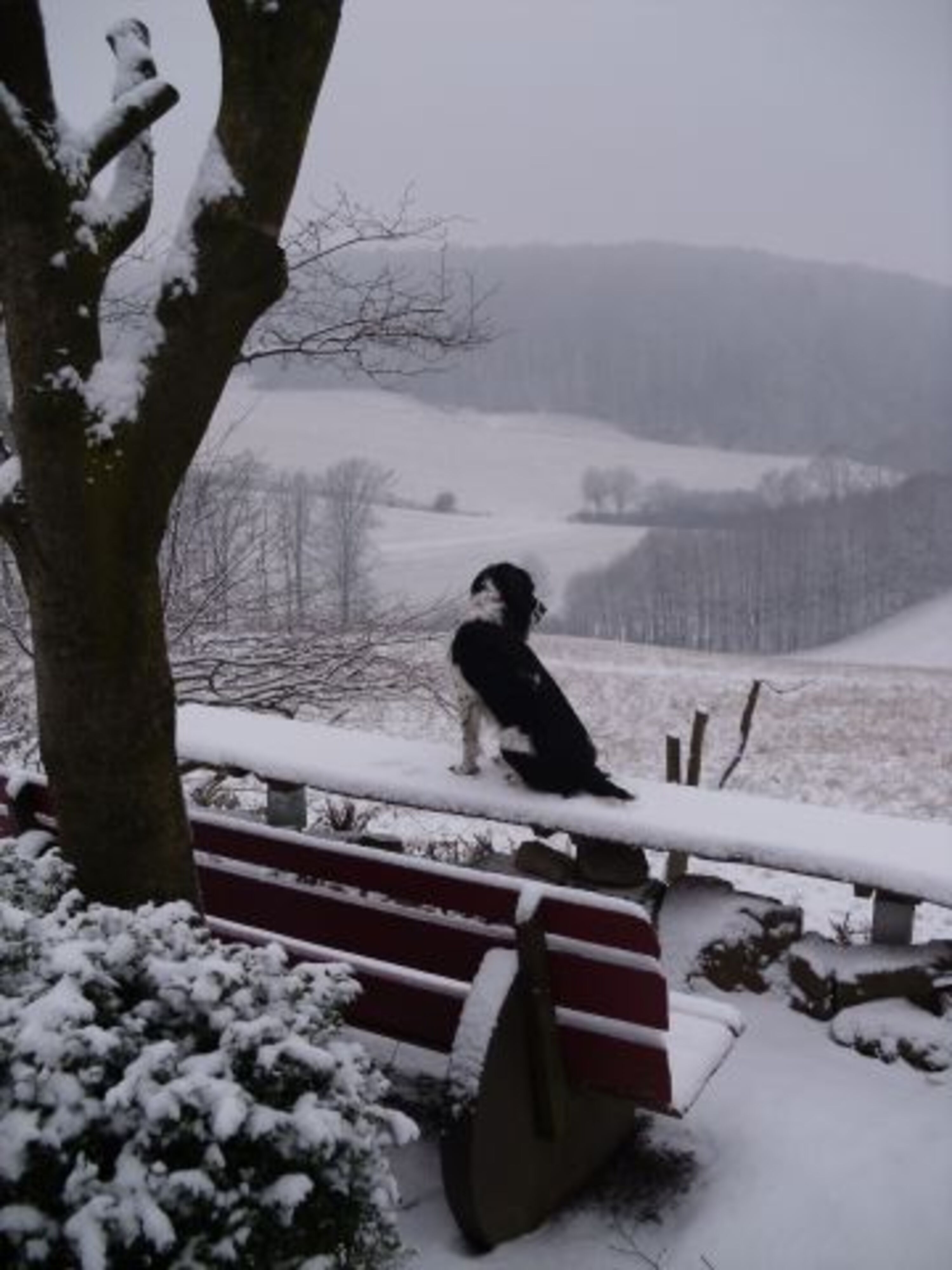 Auch im Winter ein Traum...