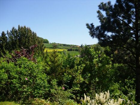 Wunderschöne Ausblicke vom Haus aus...