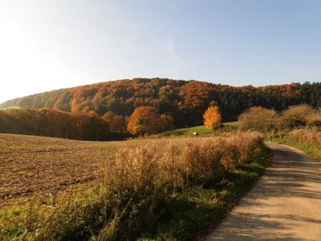 Wunderschönes Wandergebiet direkt vor der Haustür...