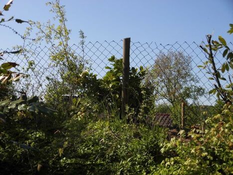 Zaun befindet sich hinter der Anpflanzung