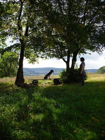 Pures Urlaubsfeeling für Ihren Hund...