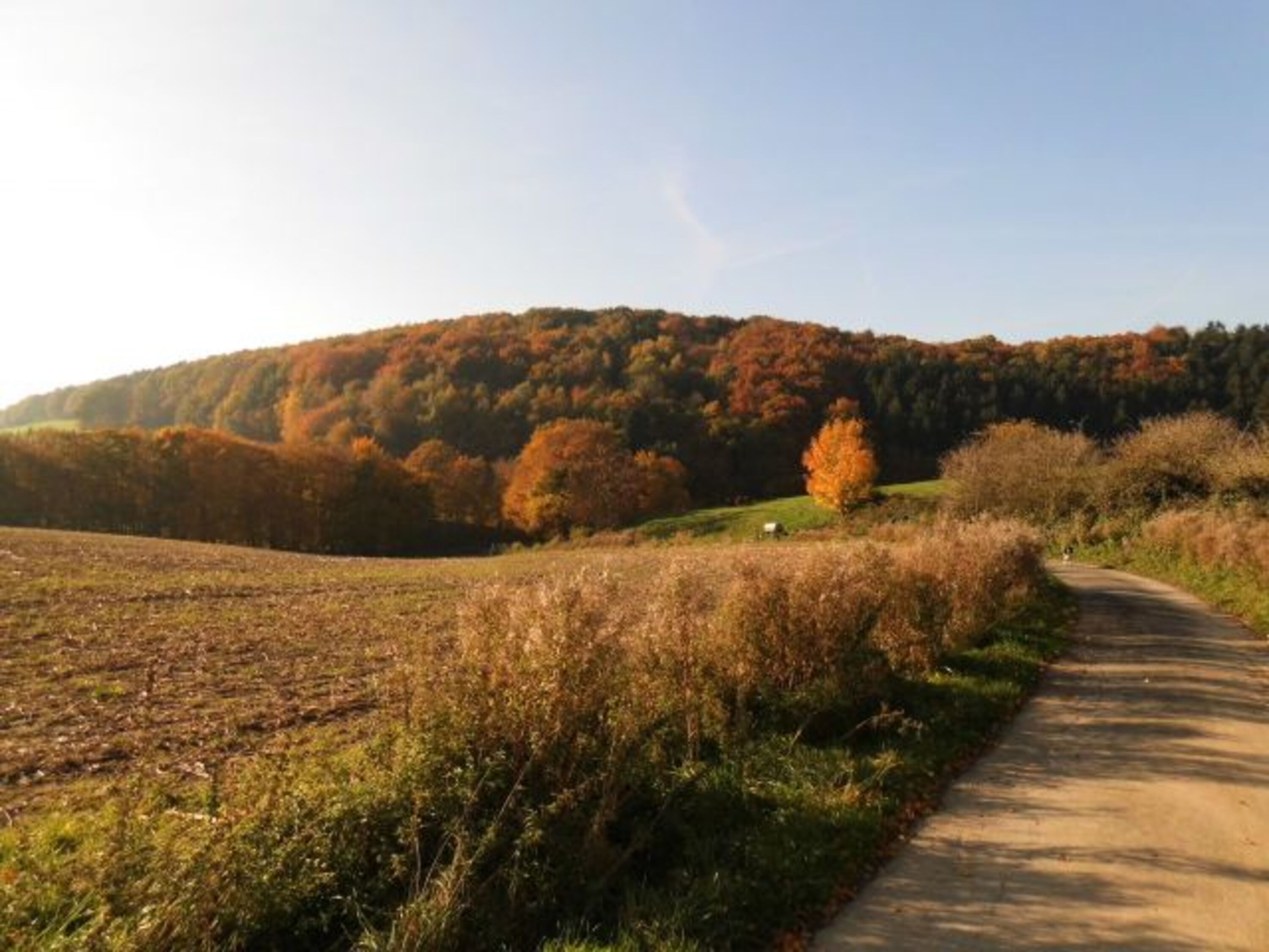 Wunderschönes Wandergebiet direkt vor der Haustür...