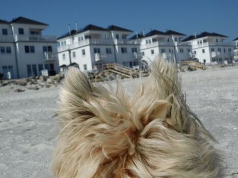 Hallo, hier fühl ich mich wohl ...