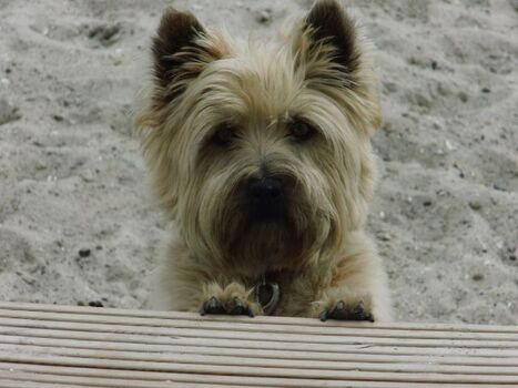 Tschüss, bis bald in der ..