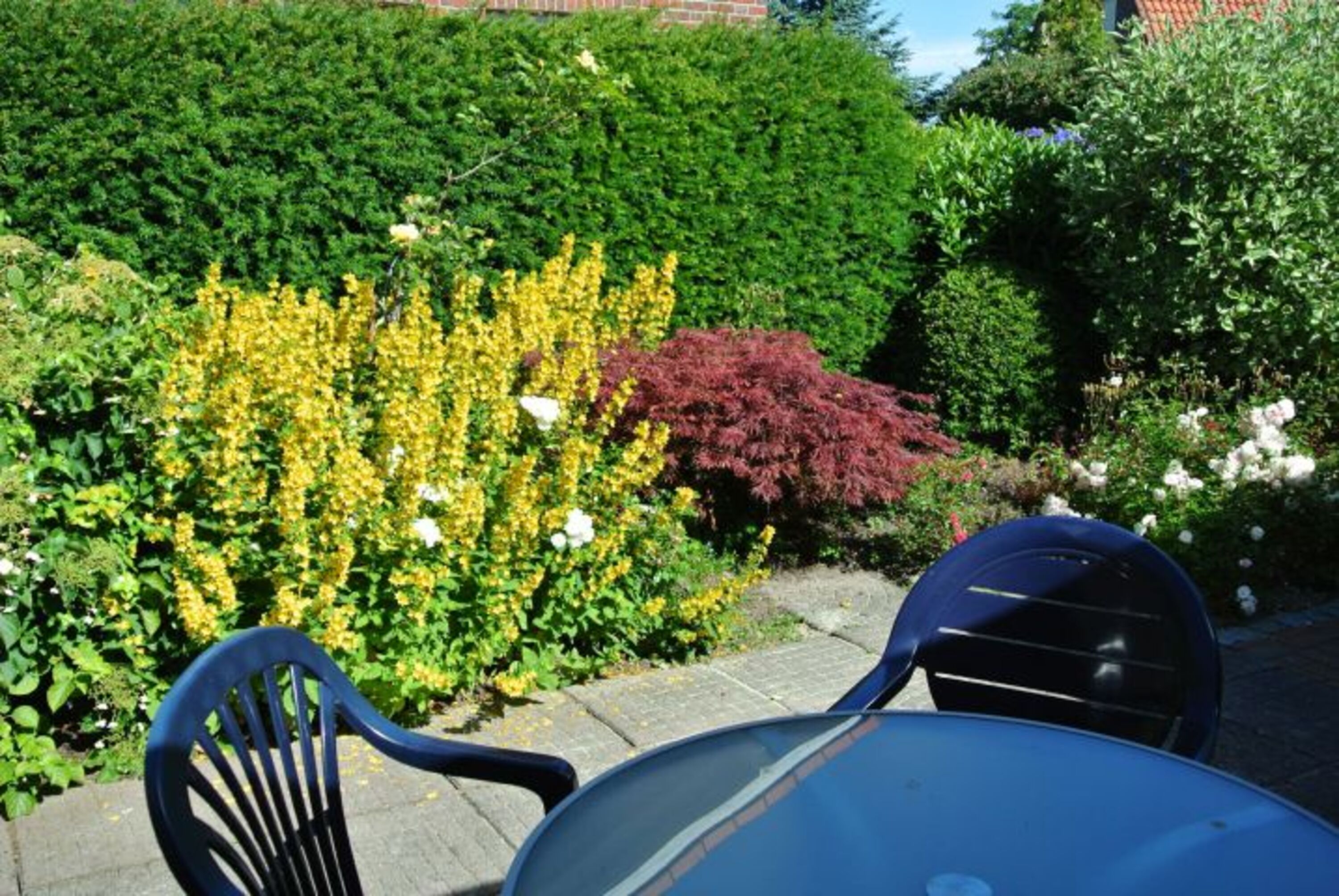 Bild 6
