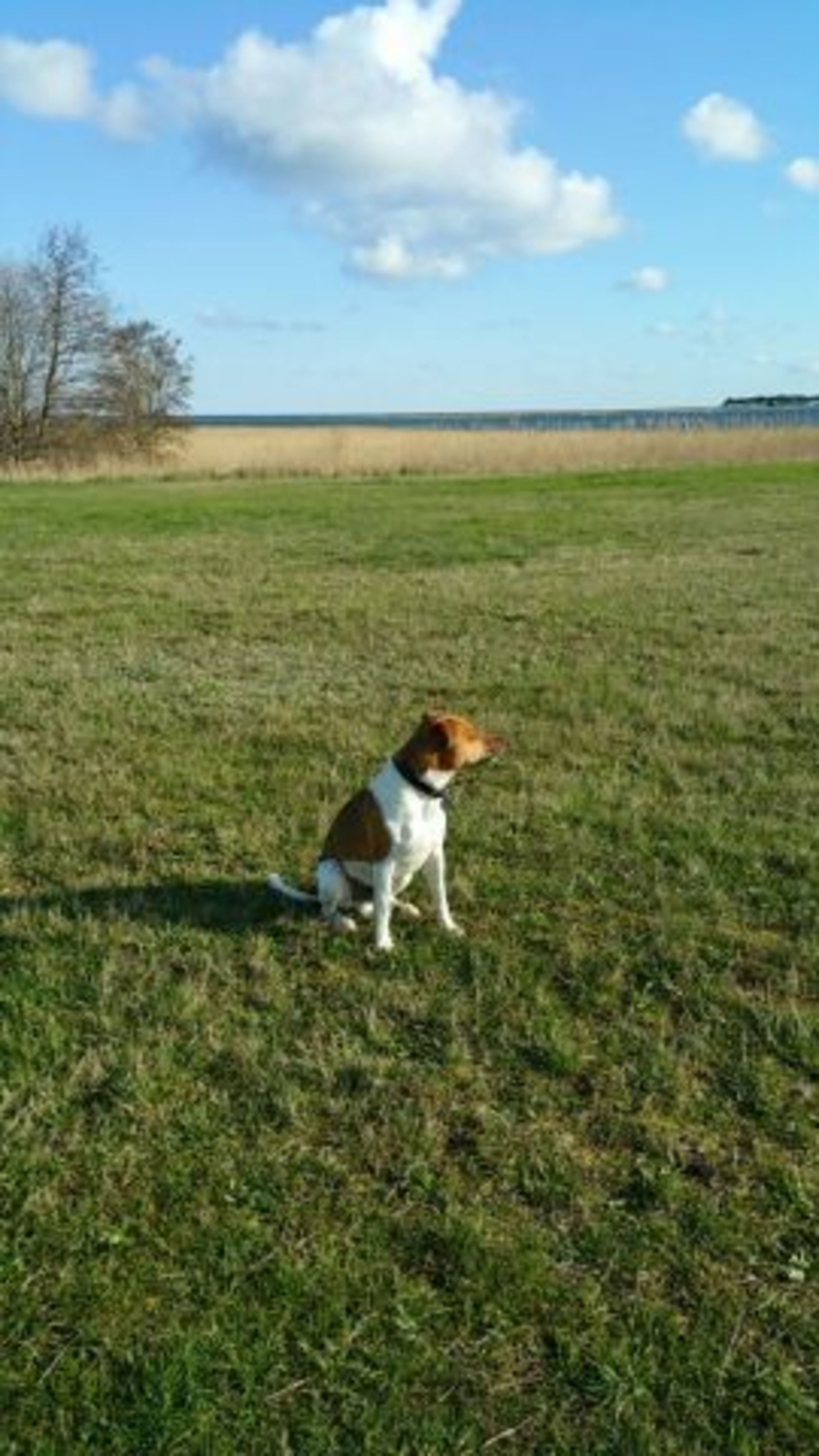 Bild 23