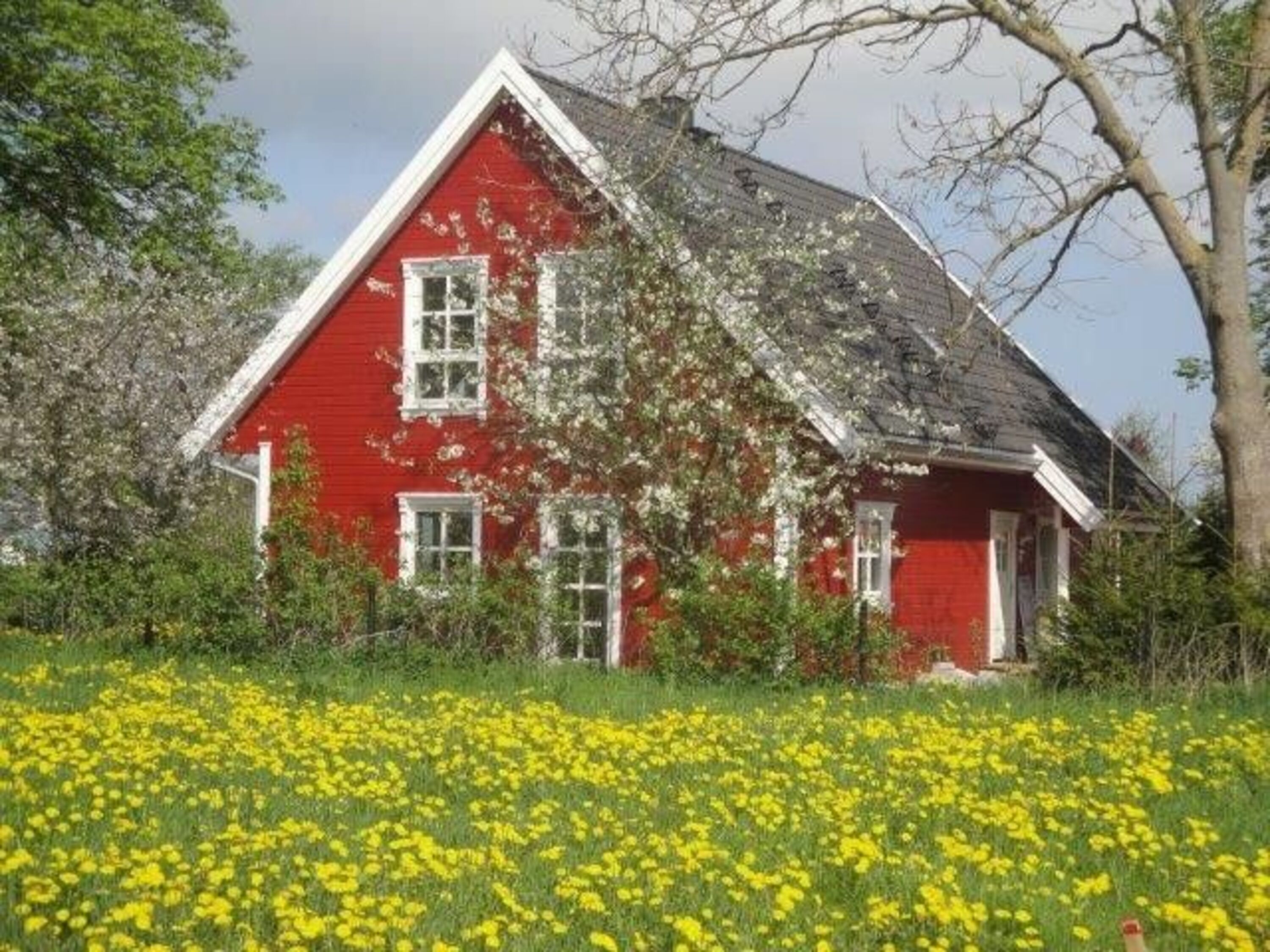 Haus im Sommer