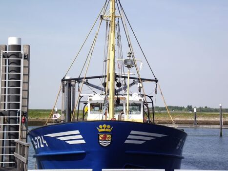 Fischkutter im Hafen