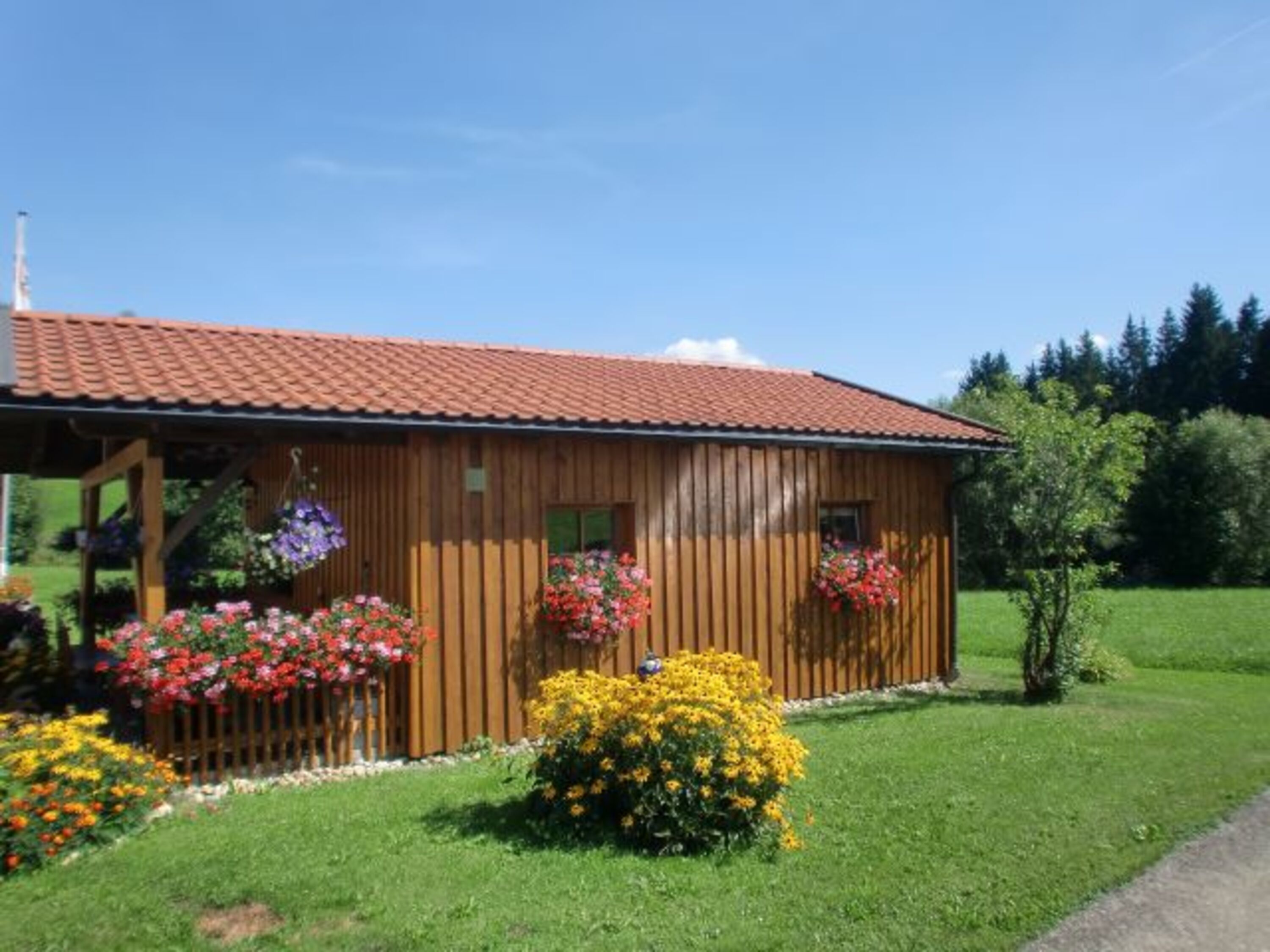 Seitenansicht