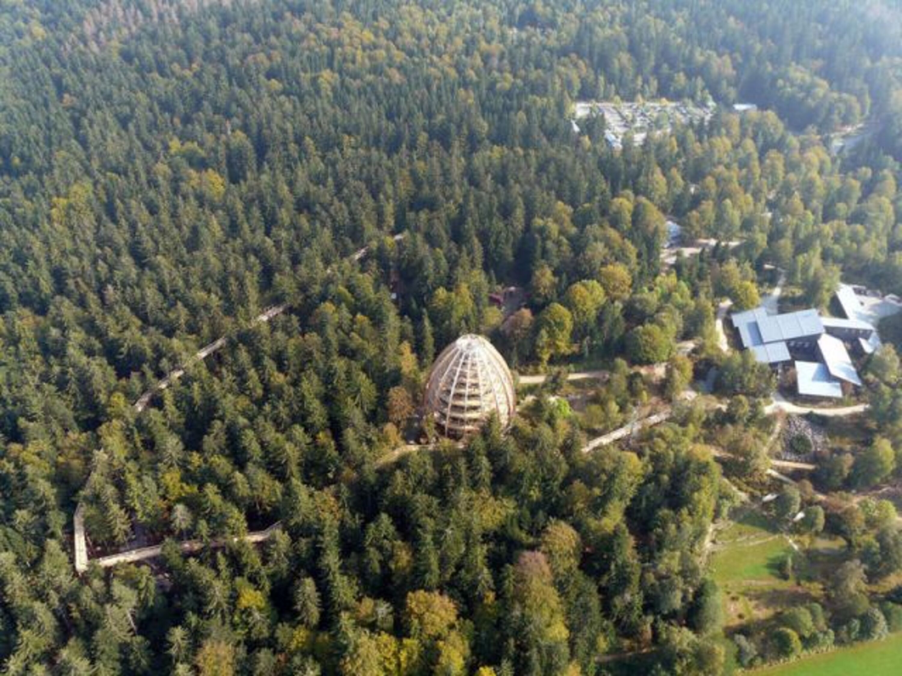 Baumwipfelpfad Neuschönau (20 km entfernt)
