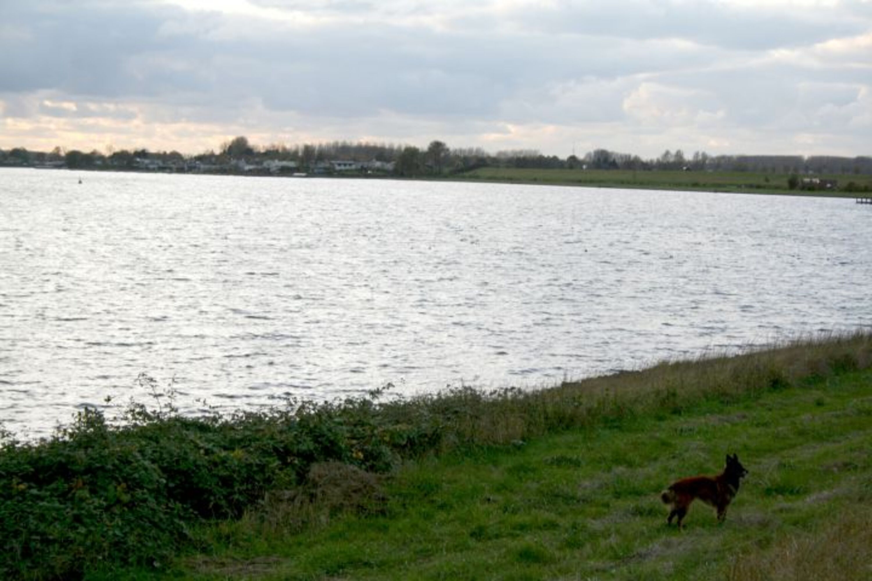 Umgebung