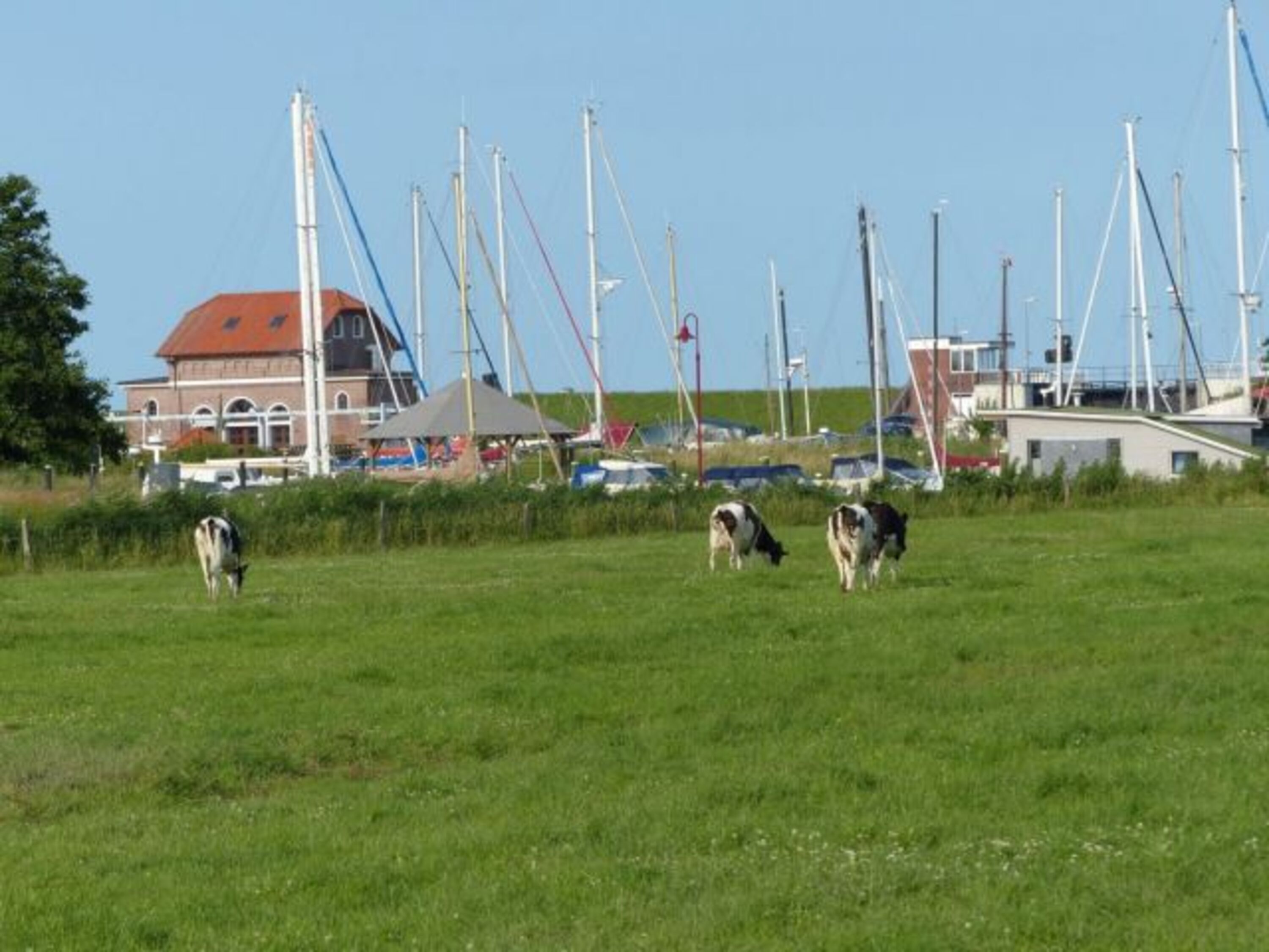 Am Vareler Hafen