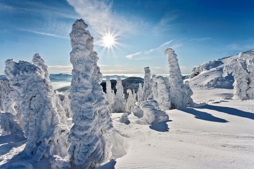 Winterland Bayerischer Wald