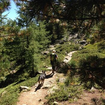 Wandern auf den Kaitersberg