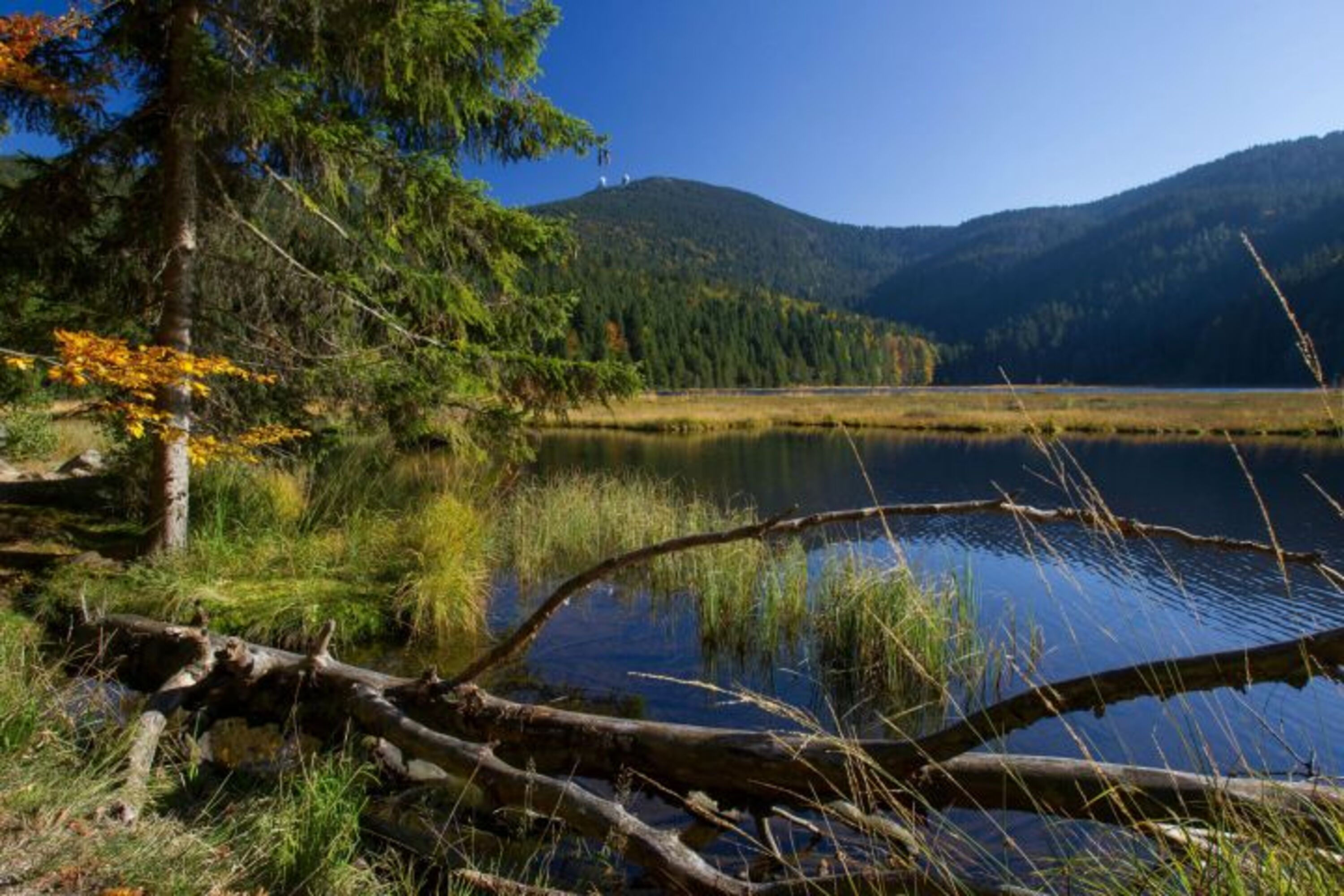 Natur pur!