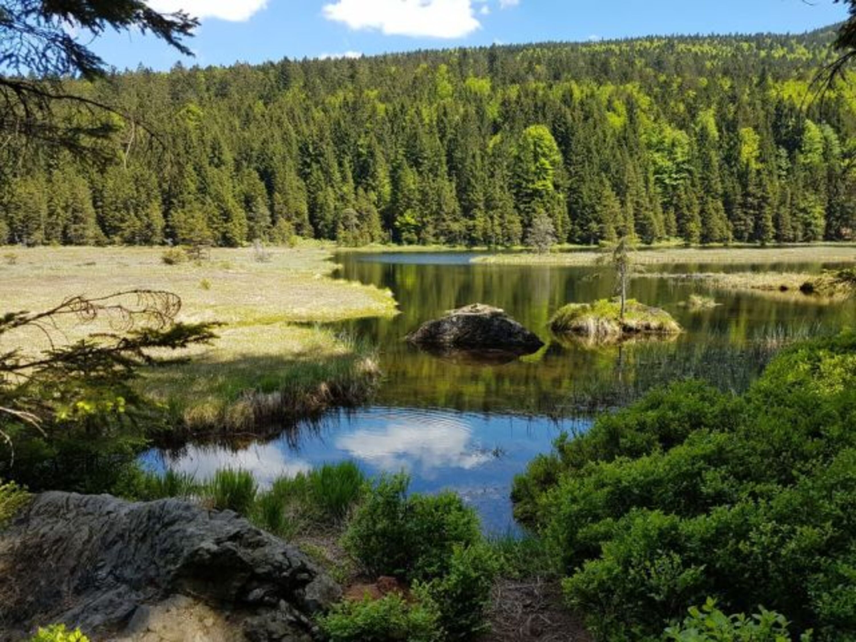 Kleiner Arbersee