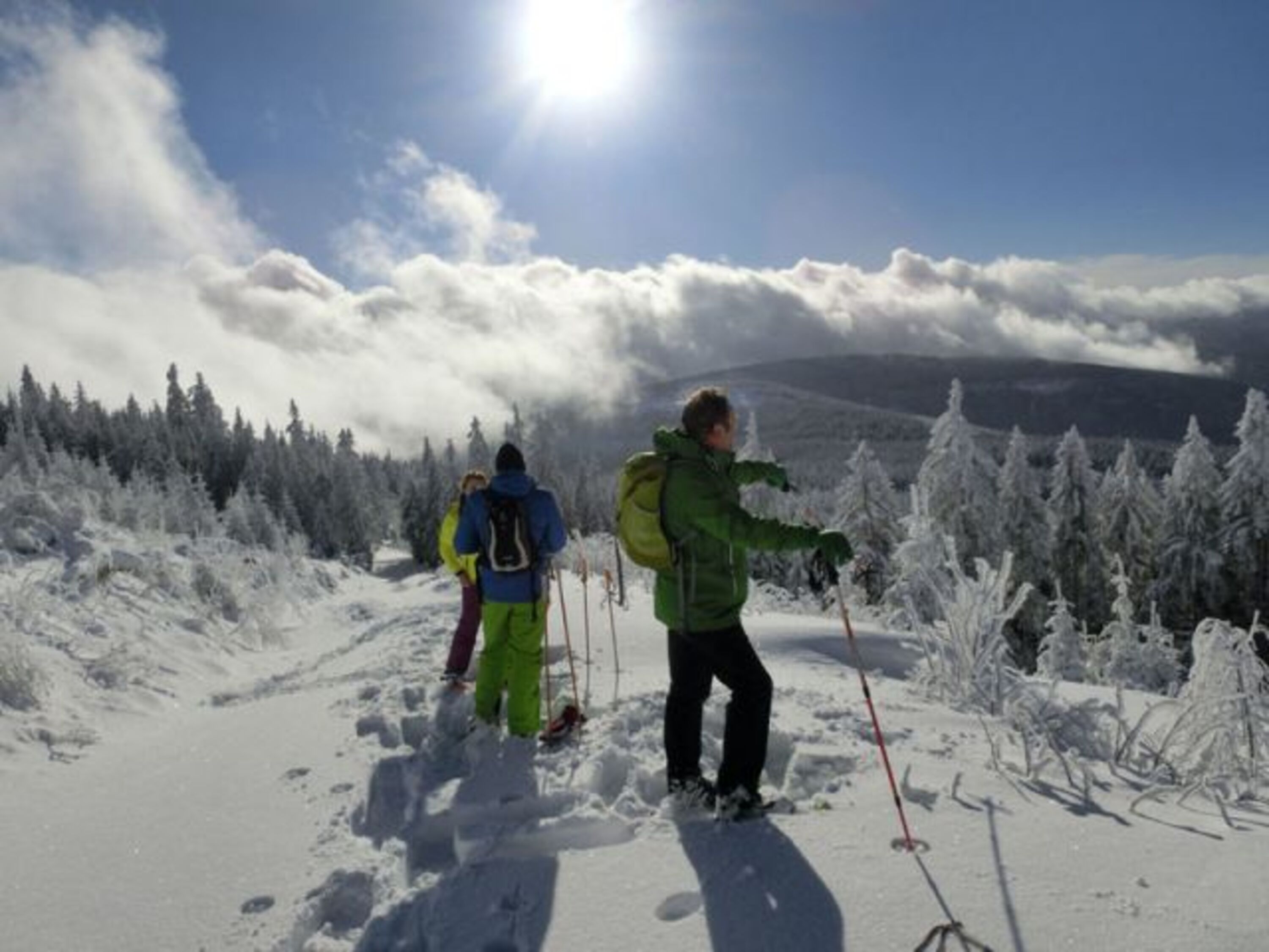 Idylle im Winter