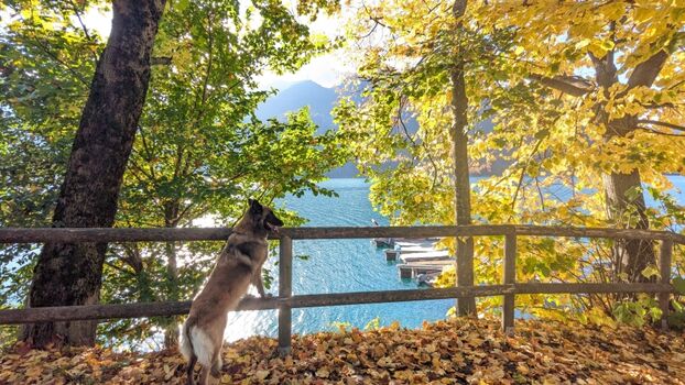 zu jeder Jahreszeit ein Erlebnis