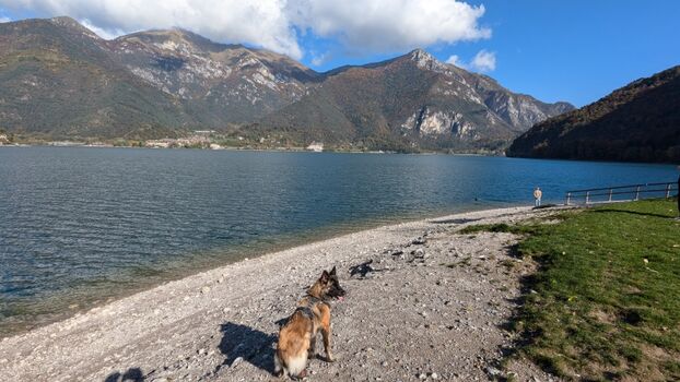 der Hundestrand in der Nähe