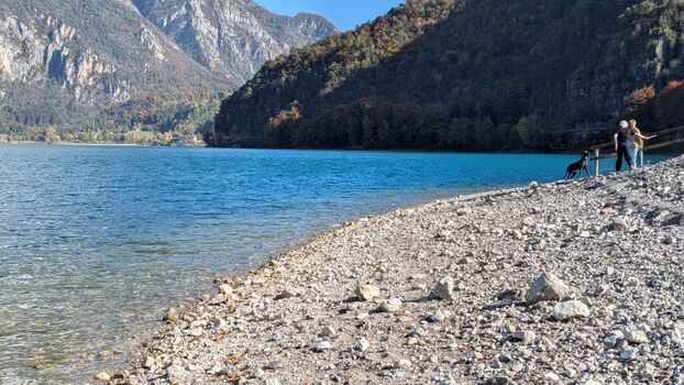 der Hundestrand in der Nähe