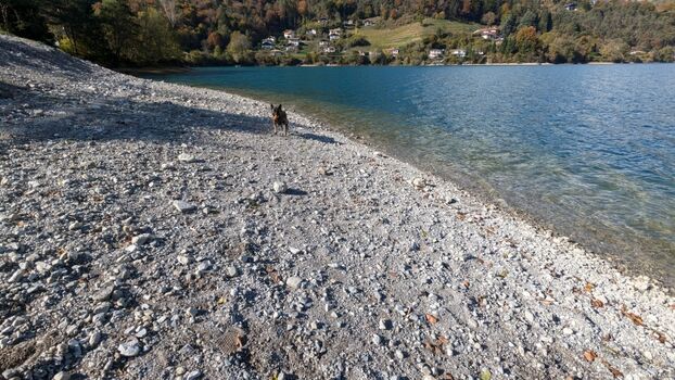 der Hundestrand in der Nähe