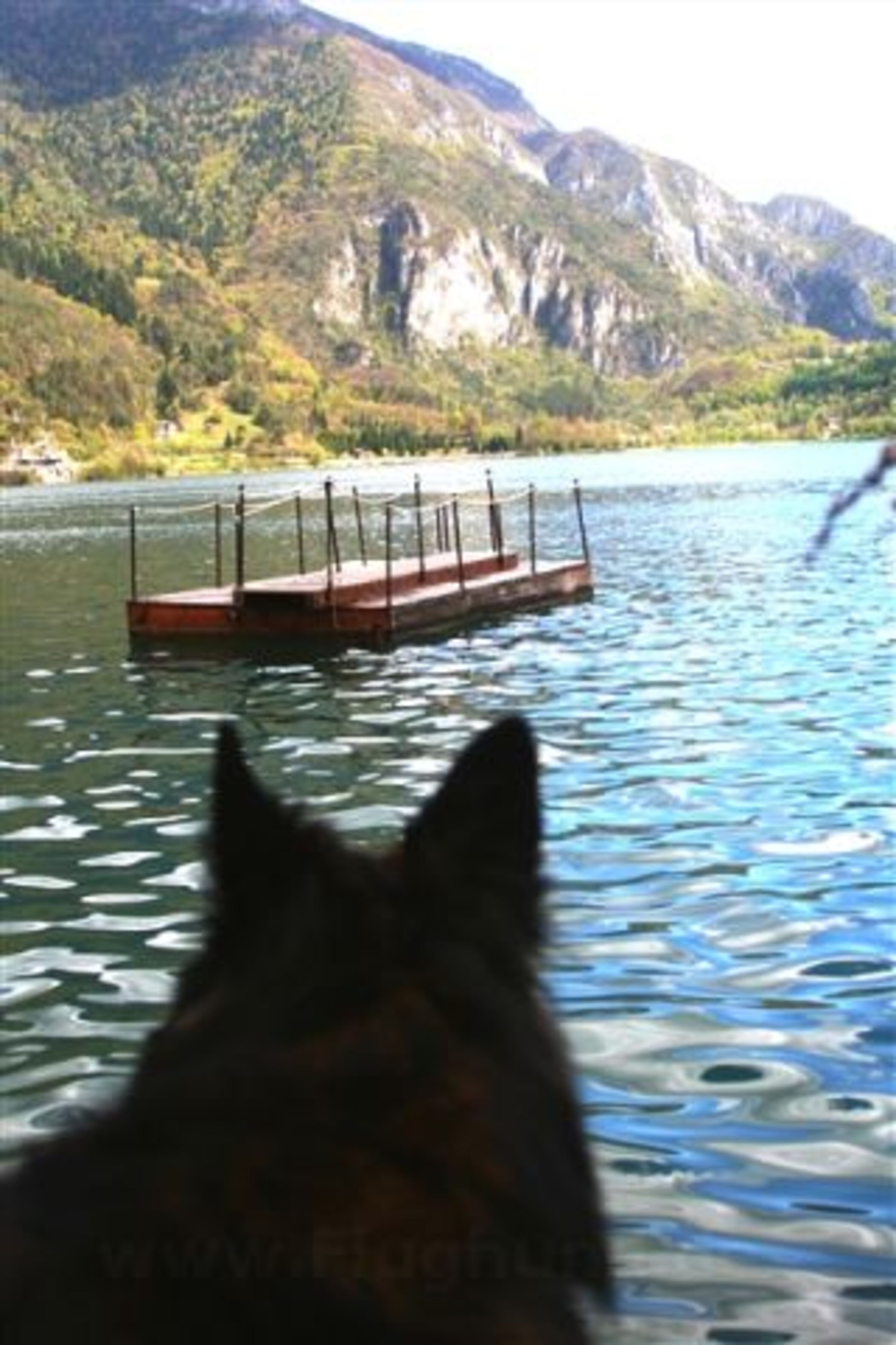 Blick zum See