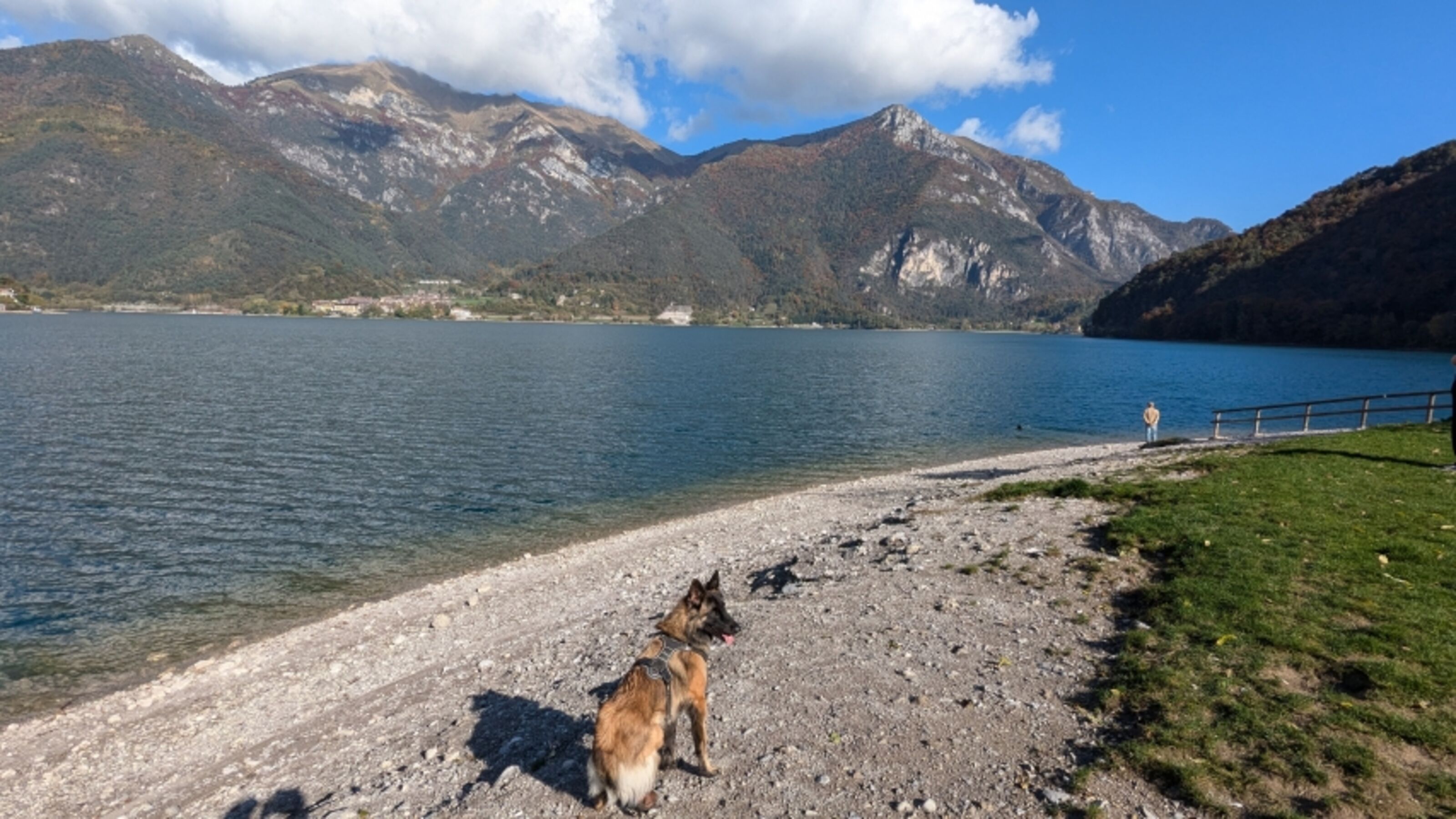 der Hundestrand in der Nähe