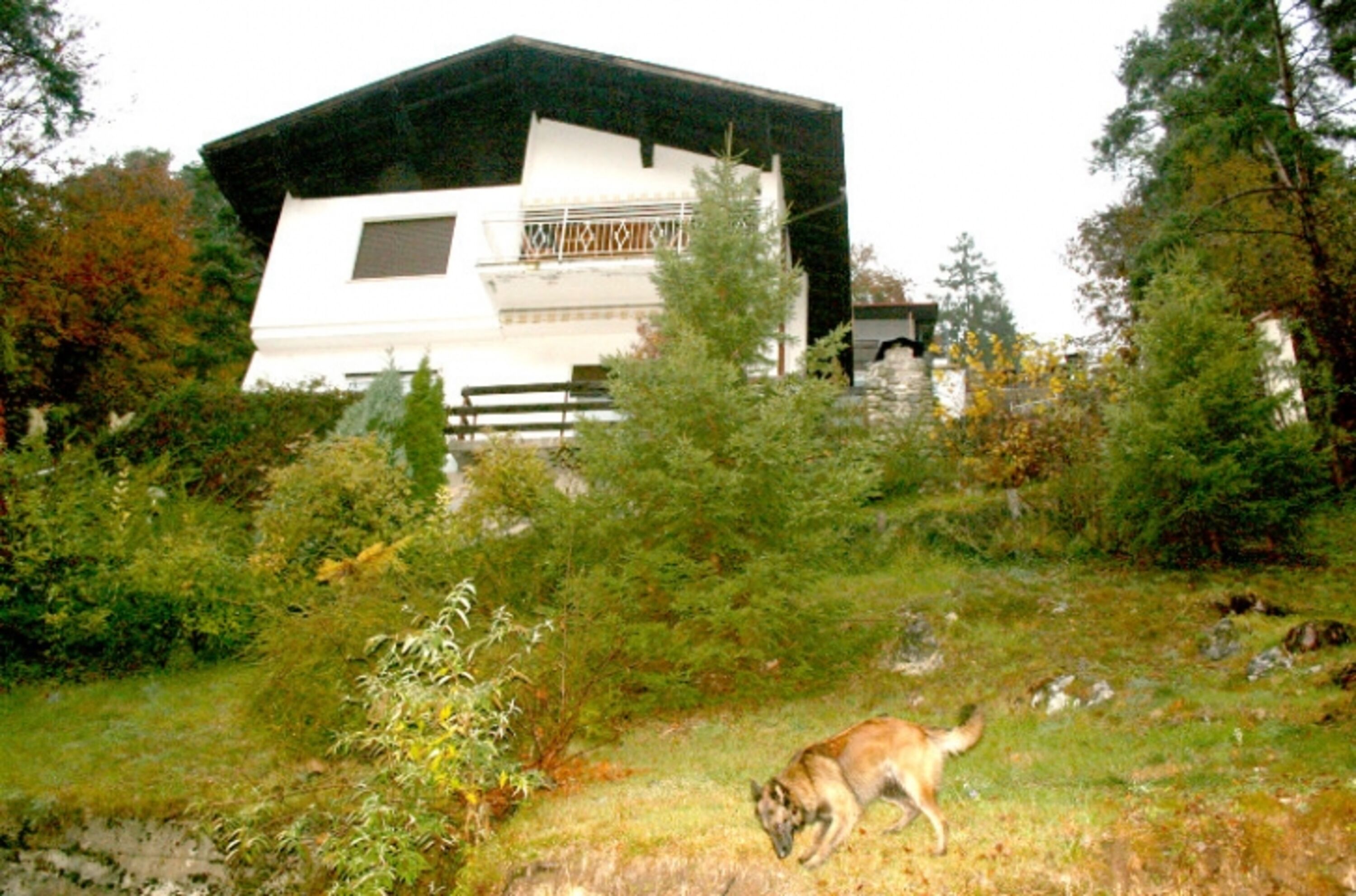 Villa Rosemarie mit traumhaften unverbauten Seeblick