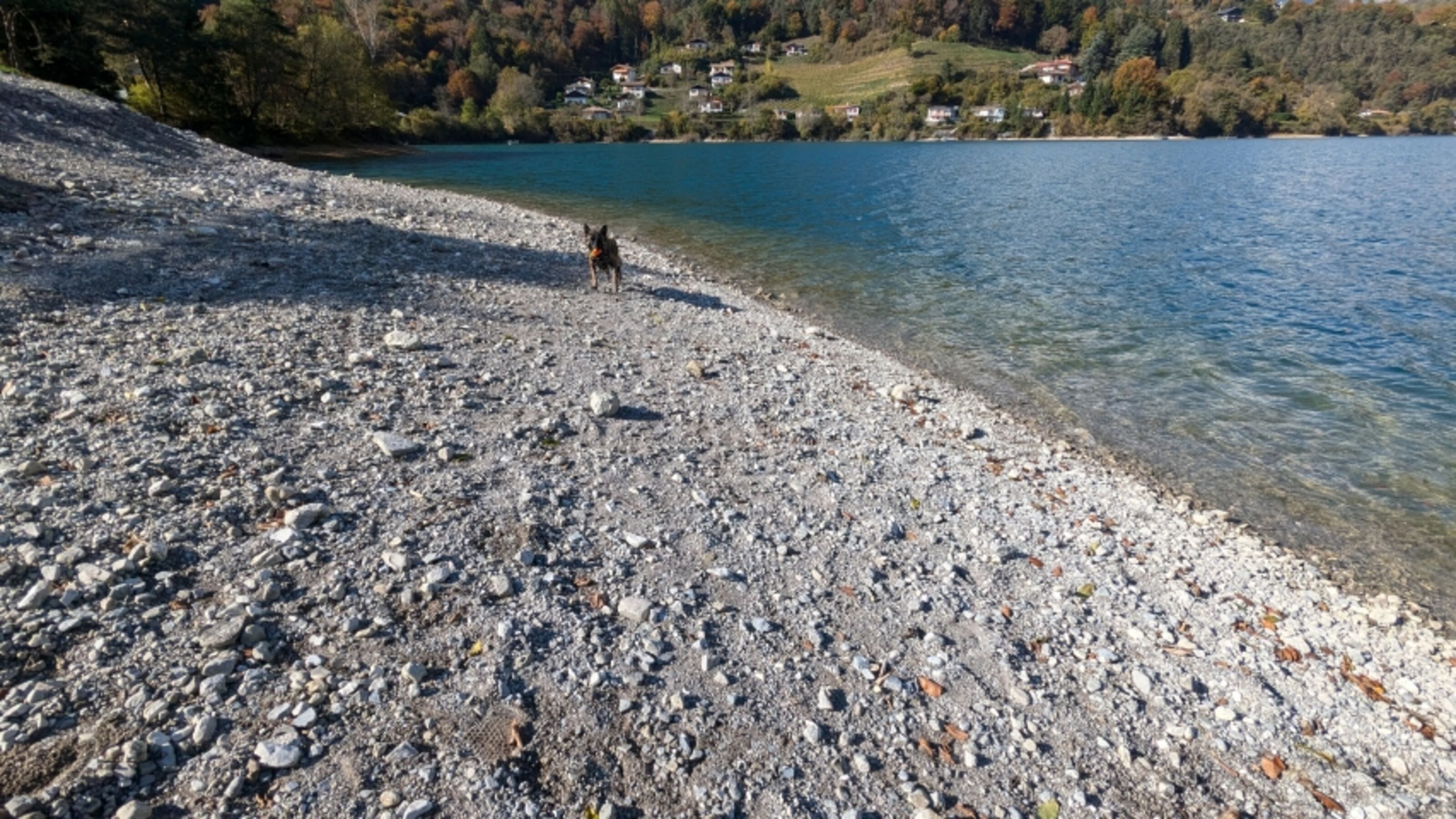 der Hundestrand in der Nähe