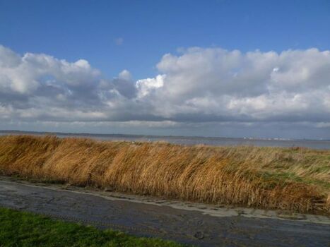 Strandabschnitt Richtung Vareler Hafen