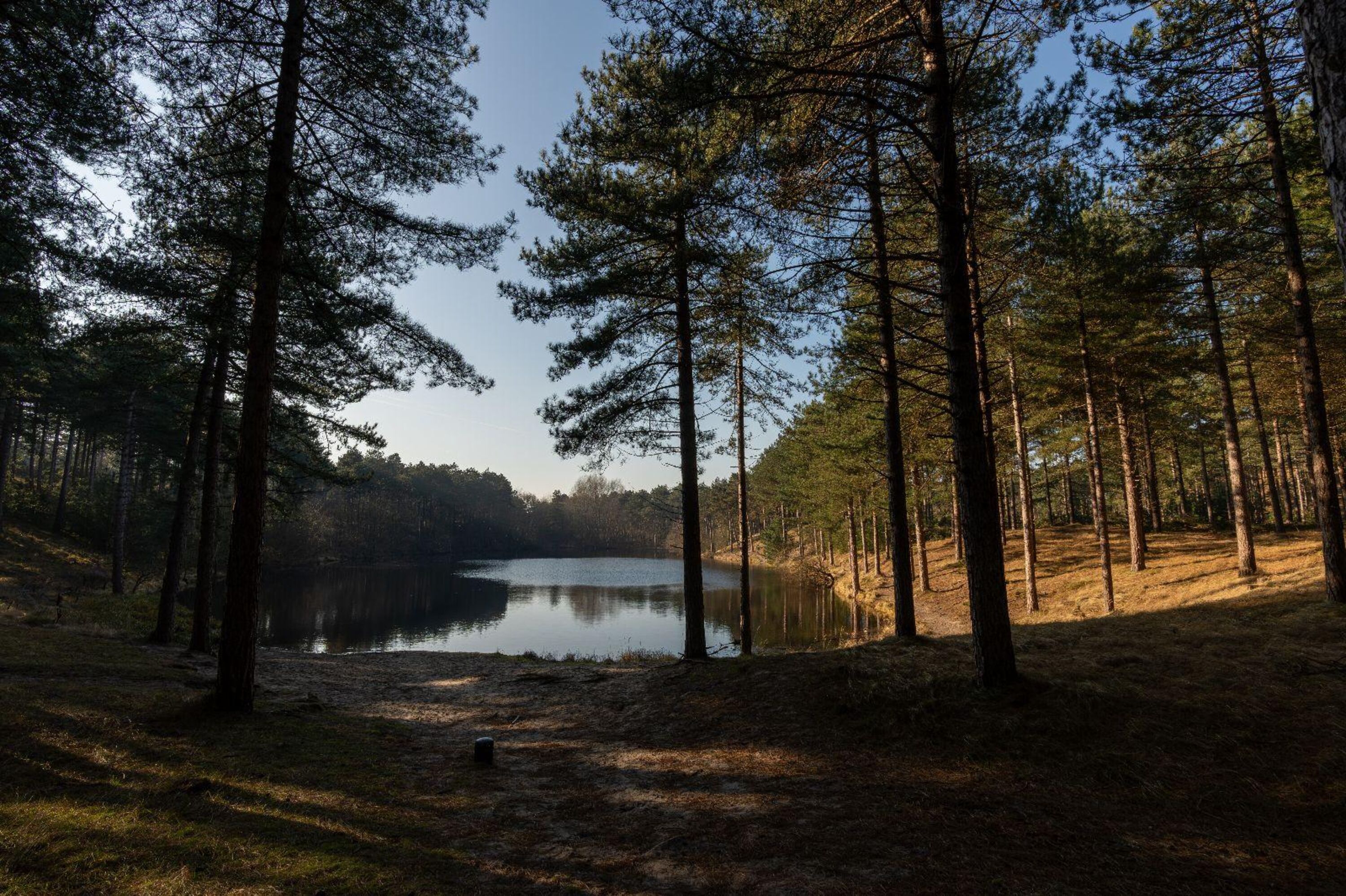 Waldgebiet um die Ecke