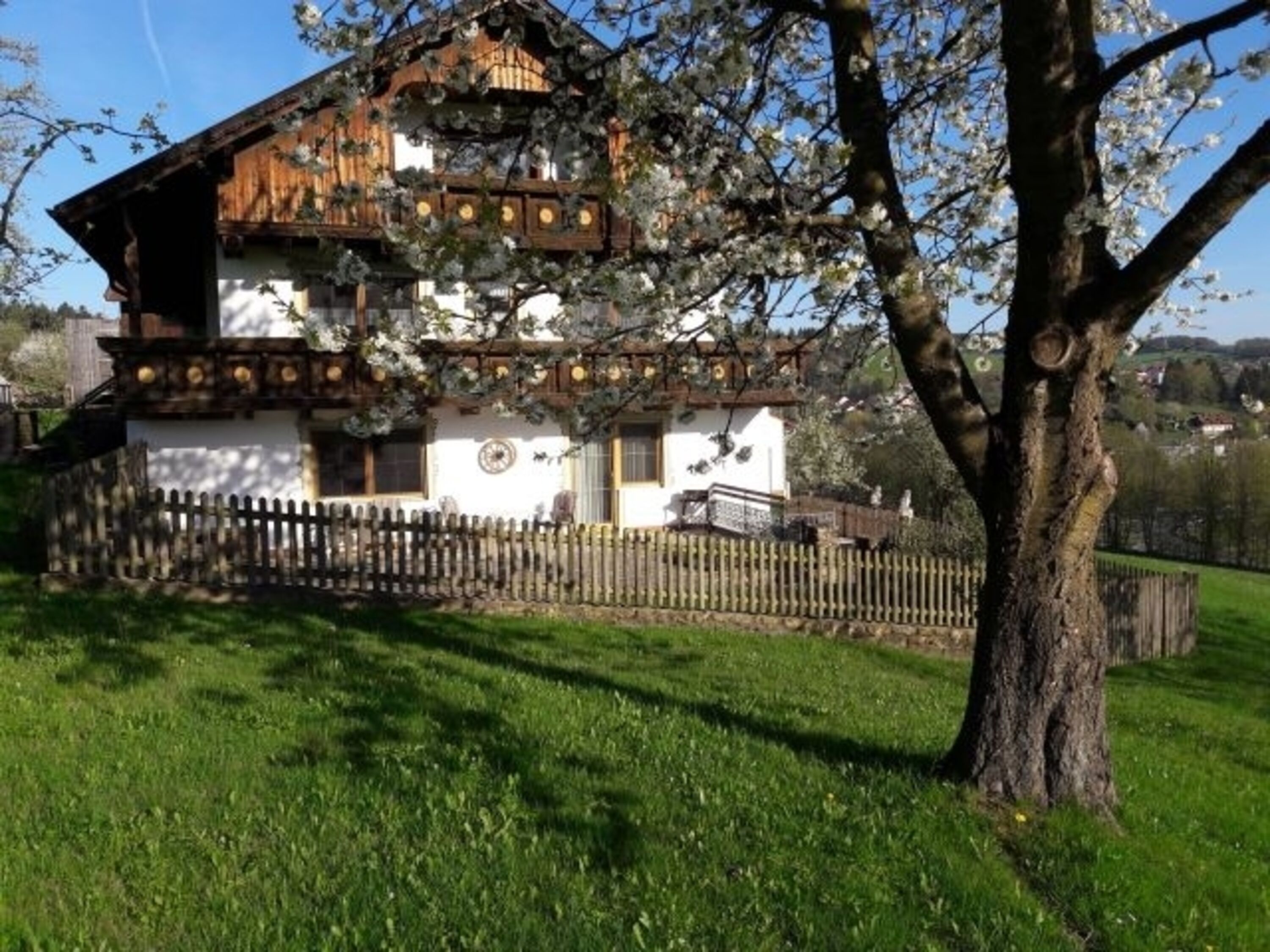 Bild 12