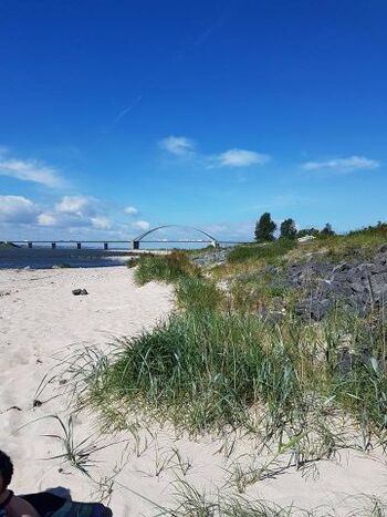 Sandstrand Püttsee.