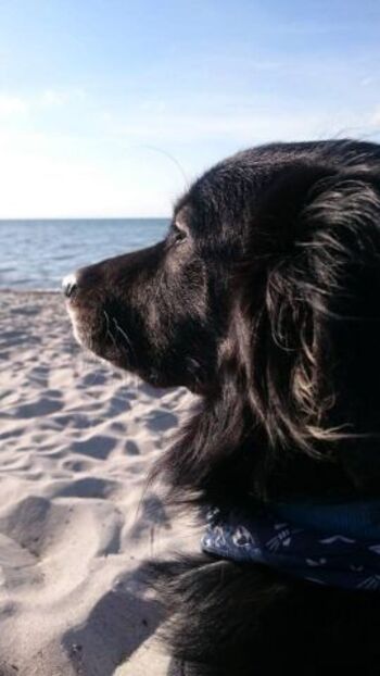 Fernweh nach Fehmarn.