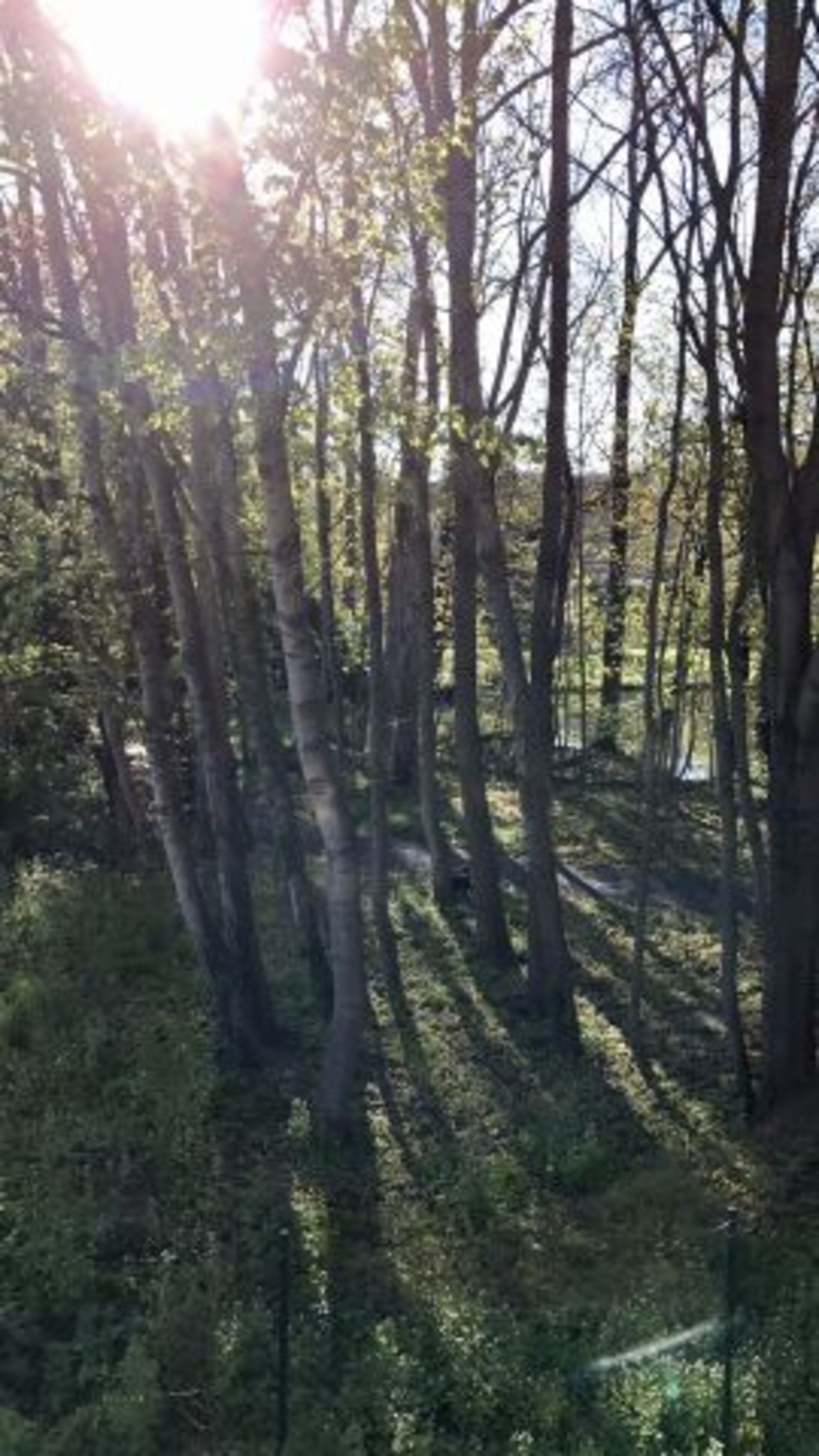 Bild 16