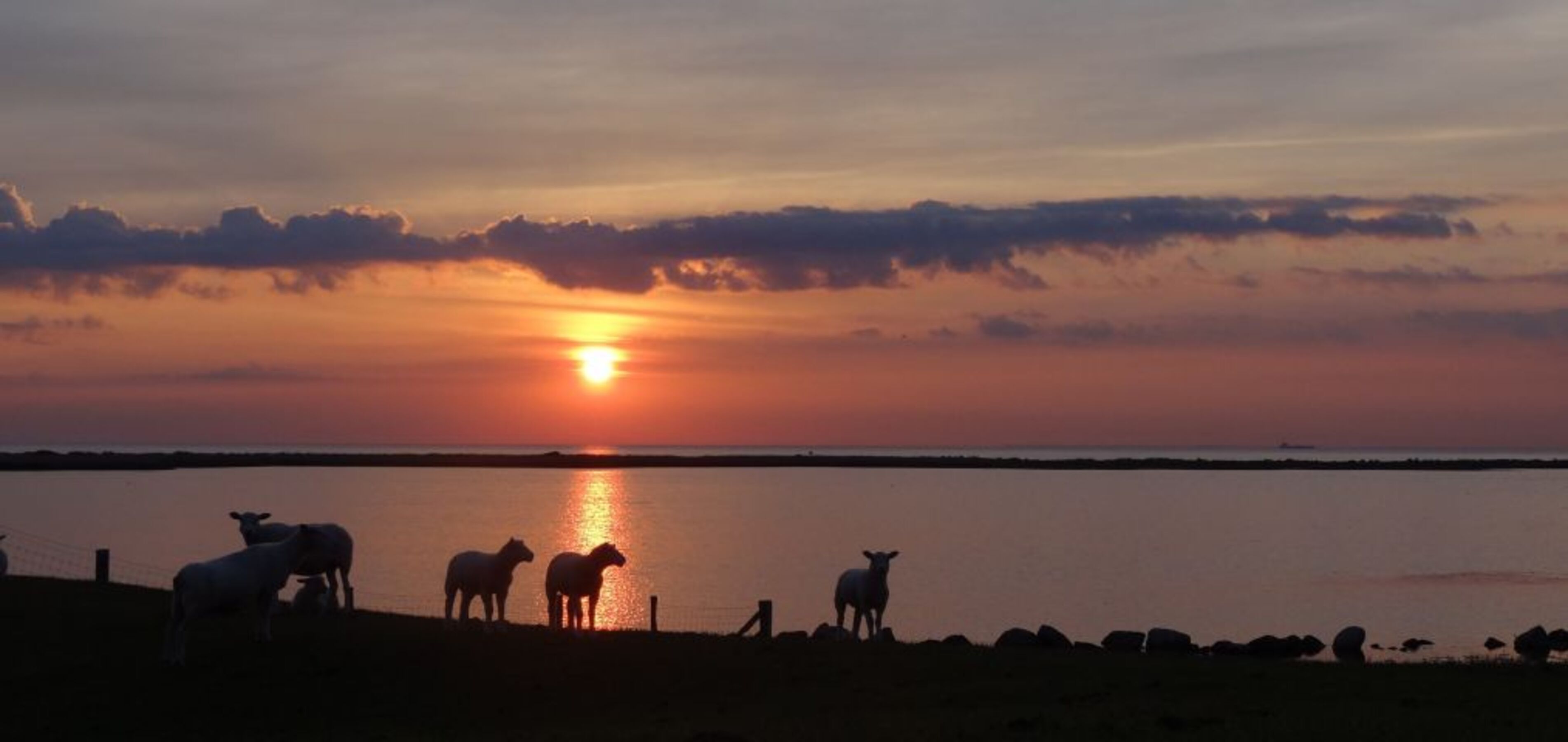 Abend am Deich