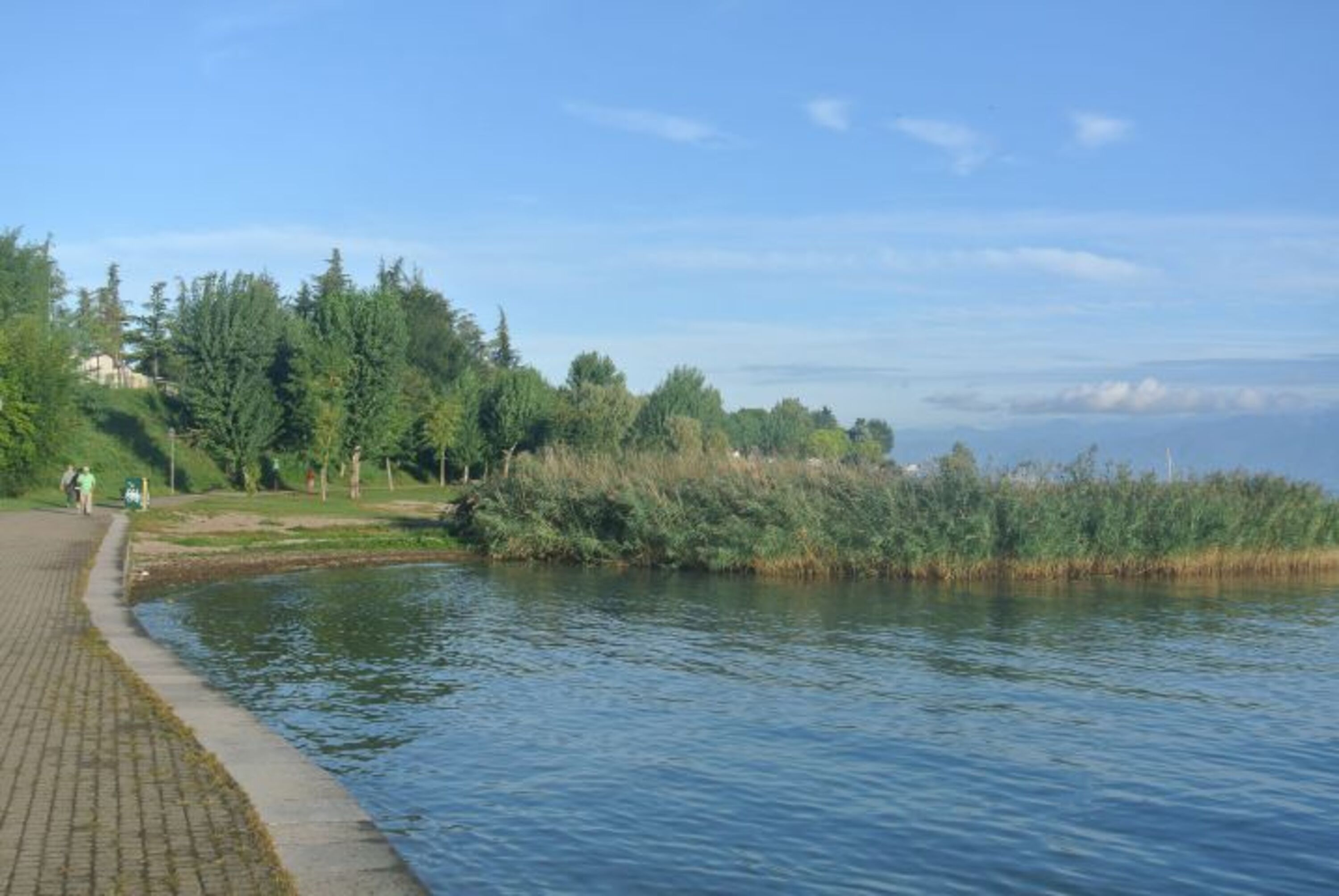 naturbelassener Strandabschnitt 