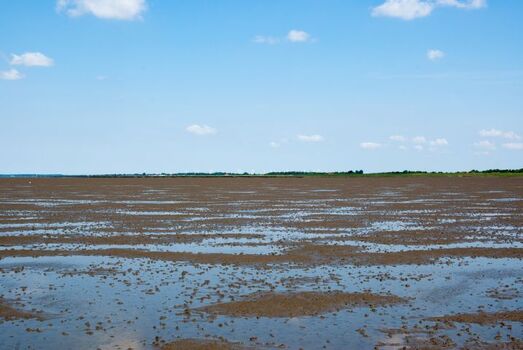 Wattenmeer