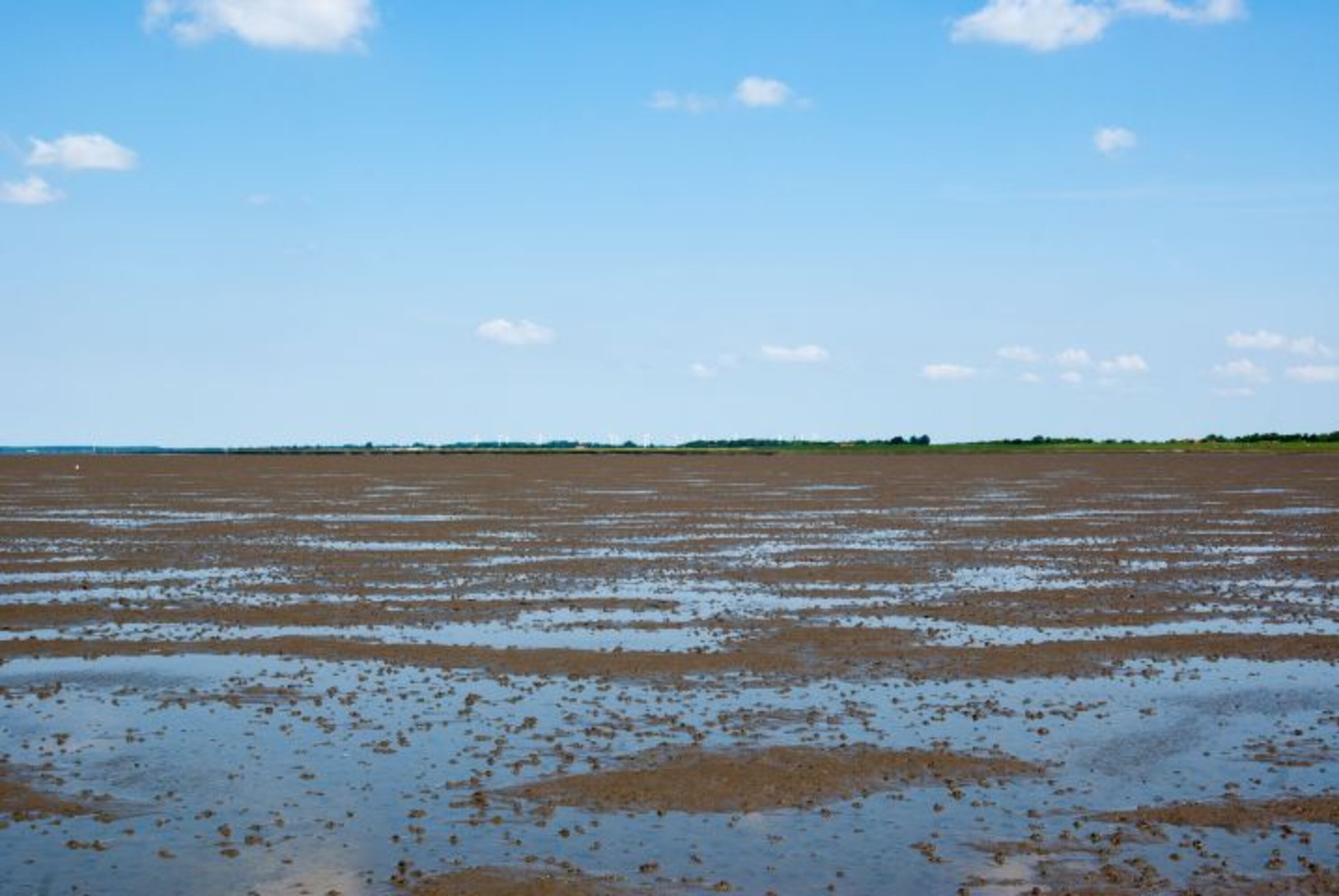 Wattenmeer