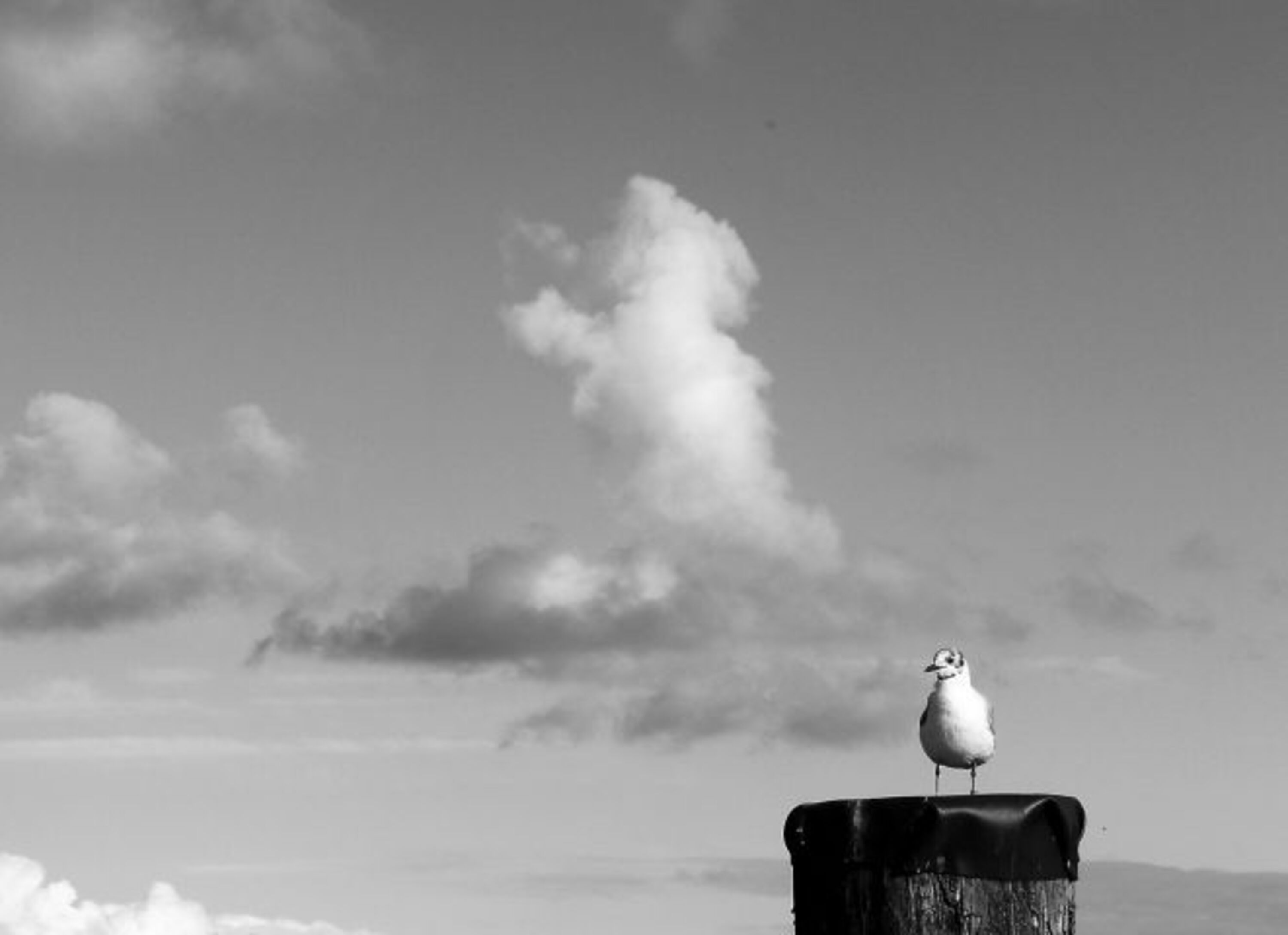 maritime Impression