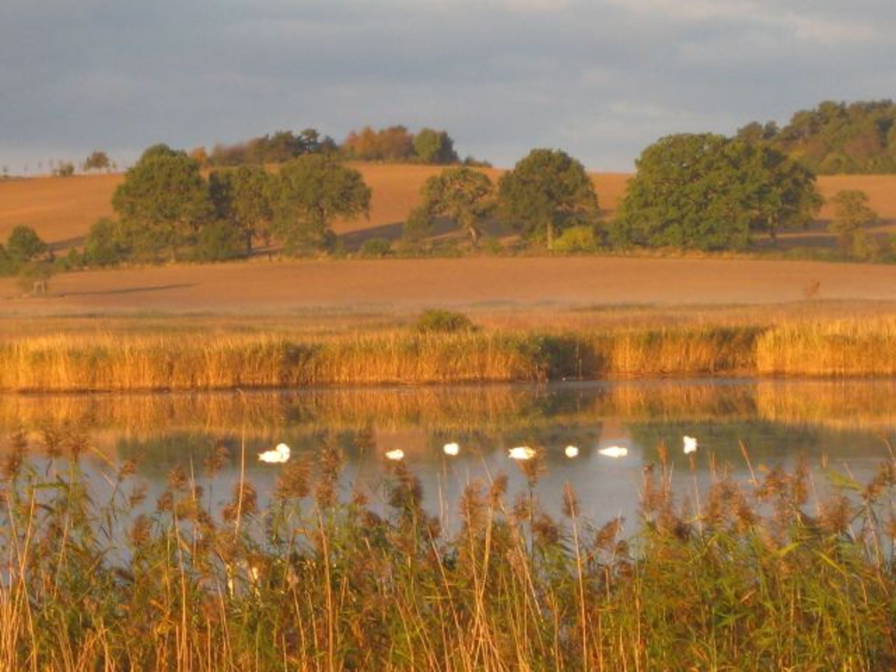 Impressionen am Selliner See