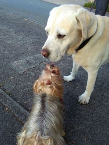 Verabschiedung vom Gast