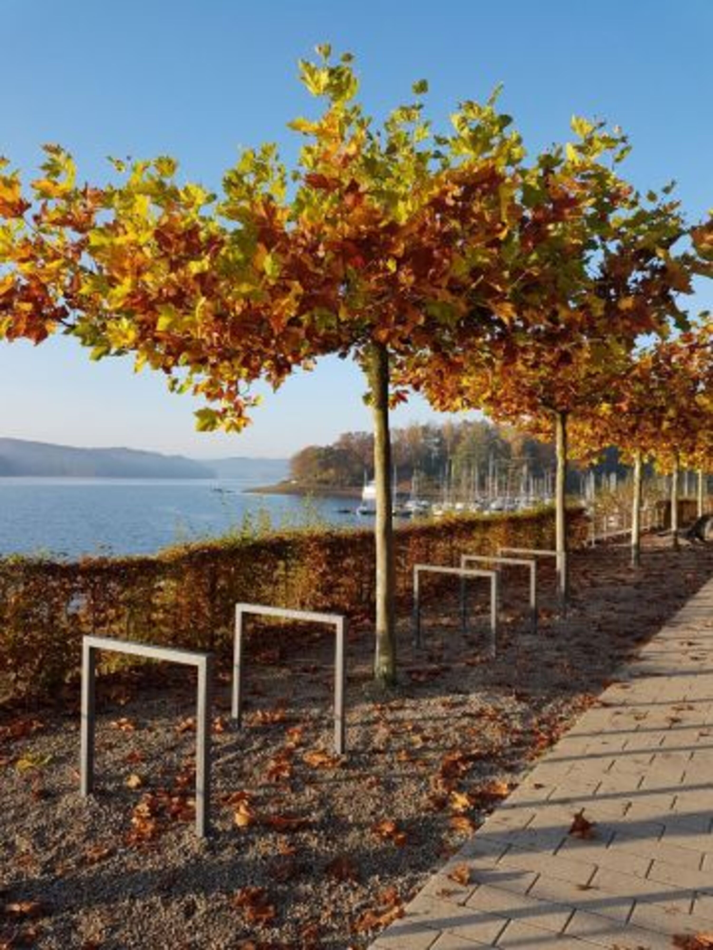 Sorpesee im Herbst