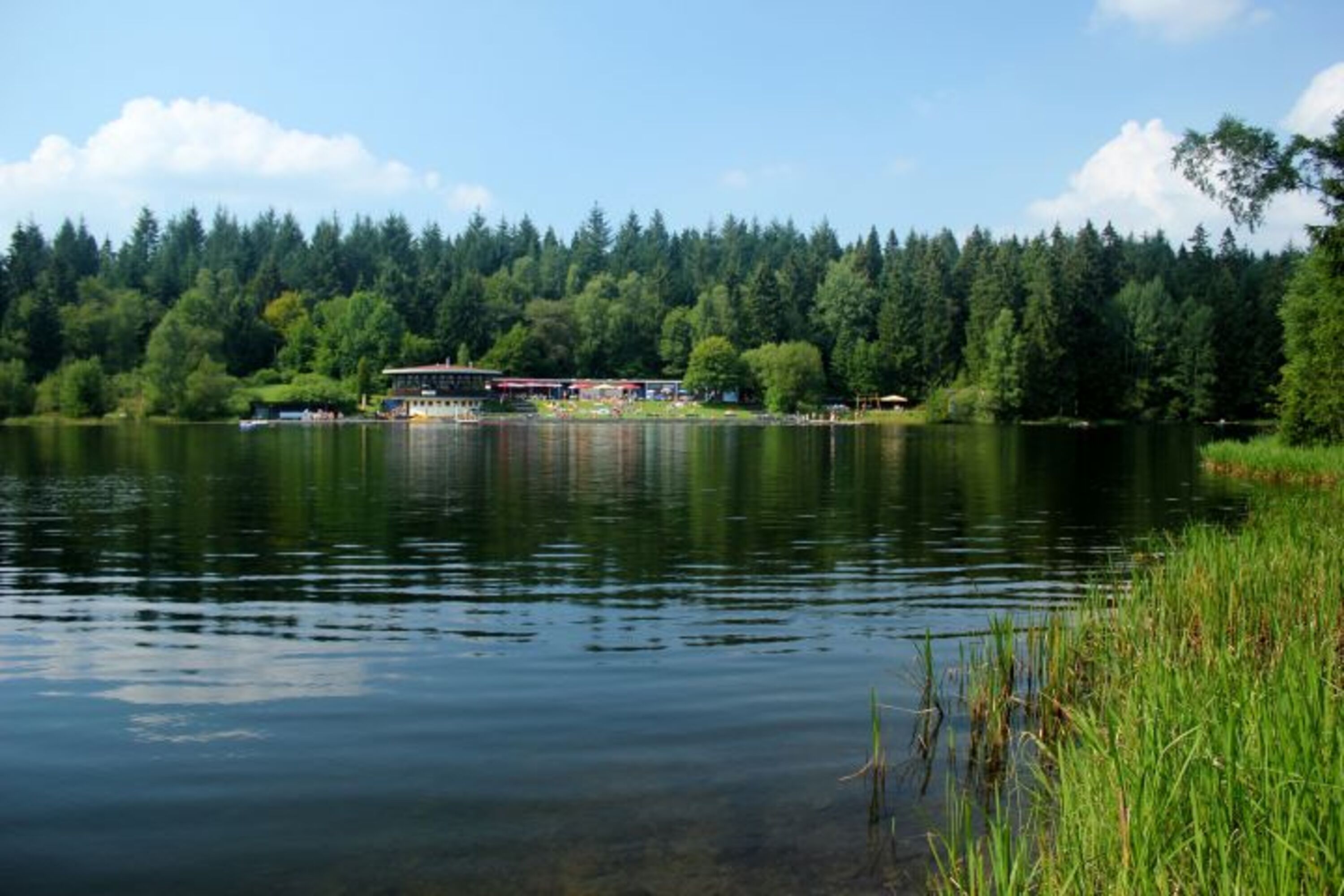 Kuttelbacher Teich