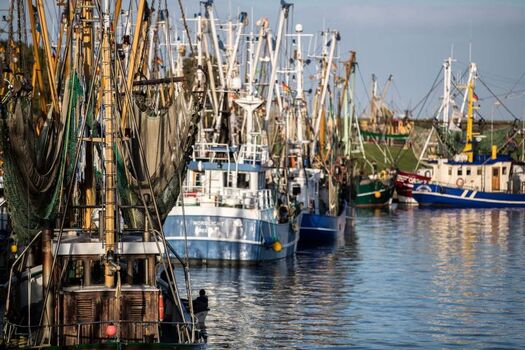 Der Greetsieler Hafen