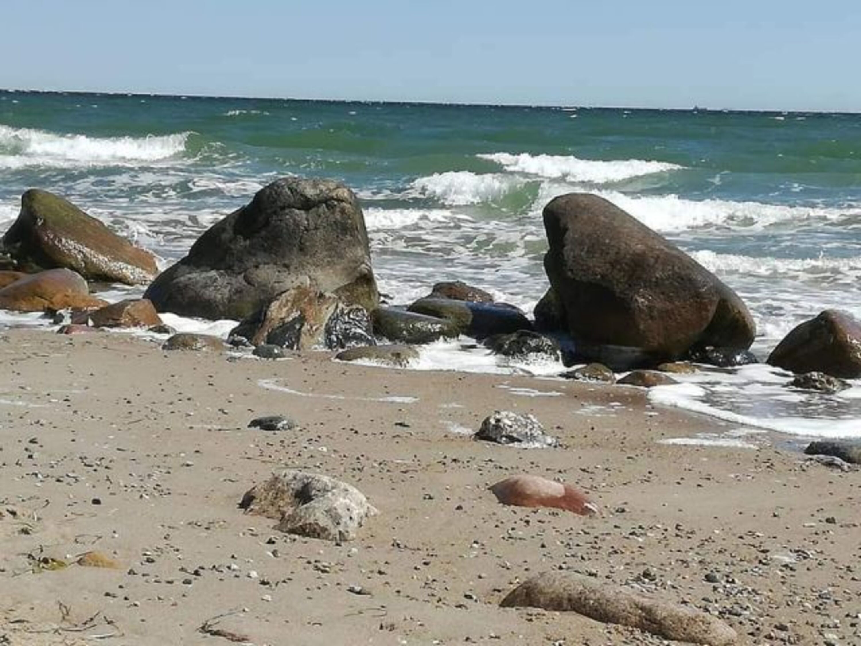 Bild 20