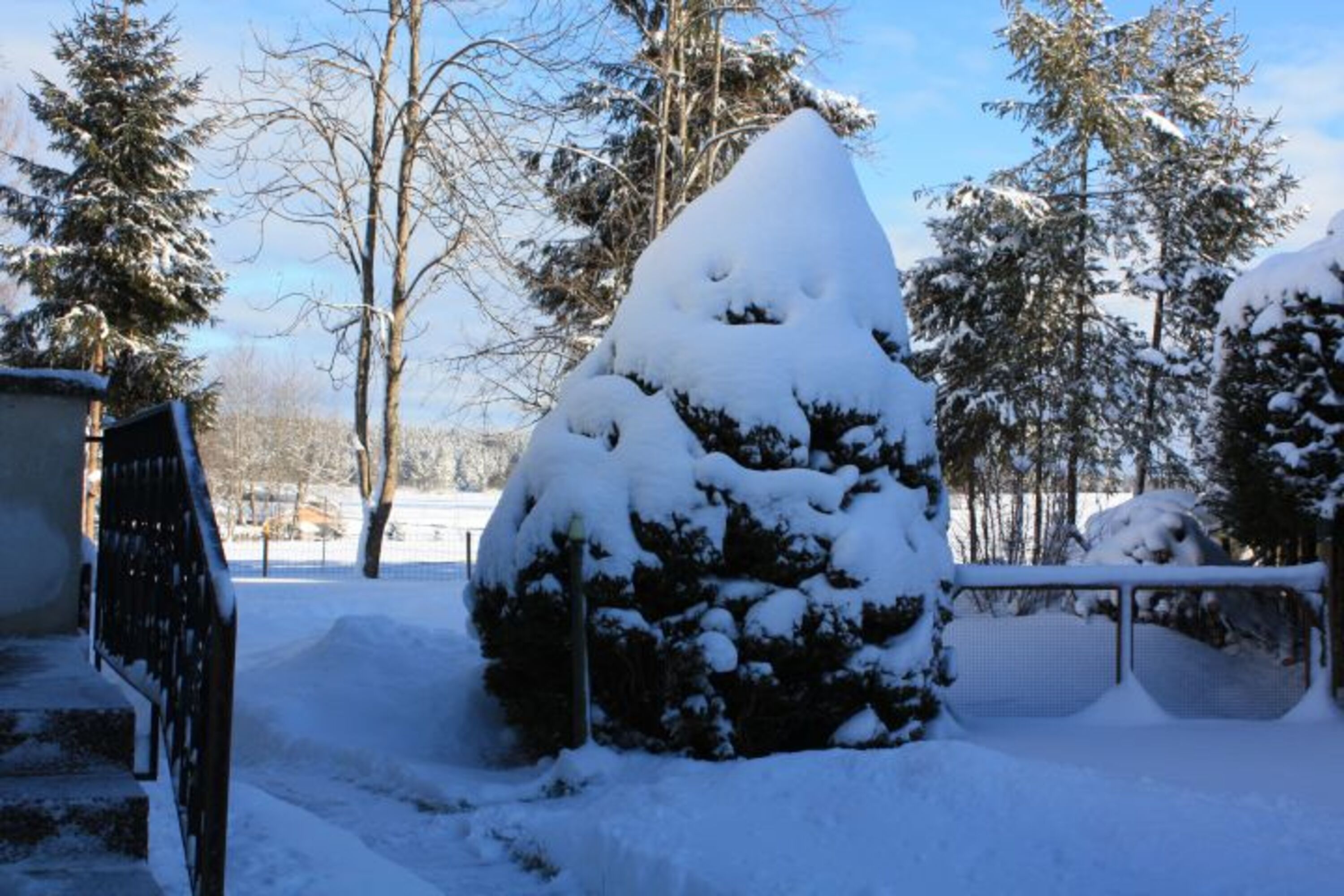 Bild 9