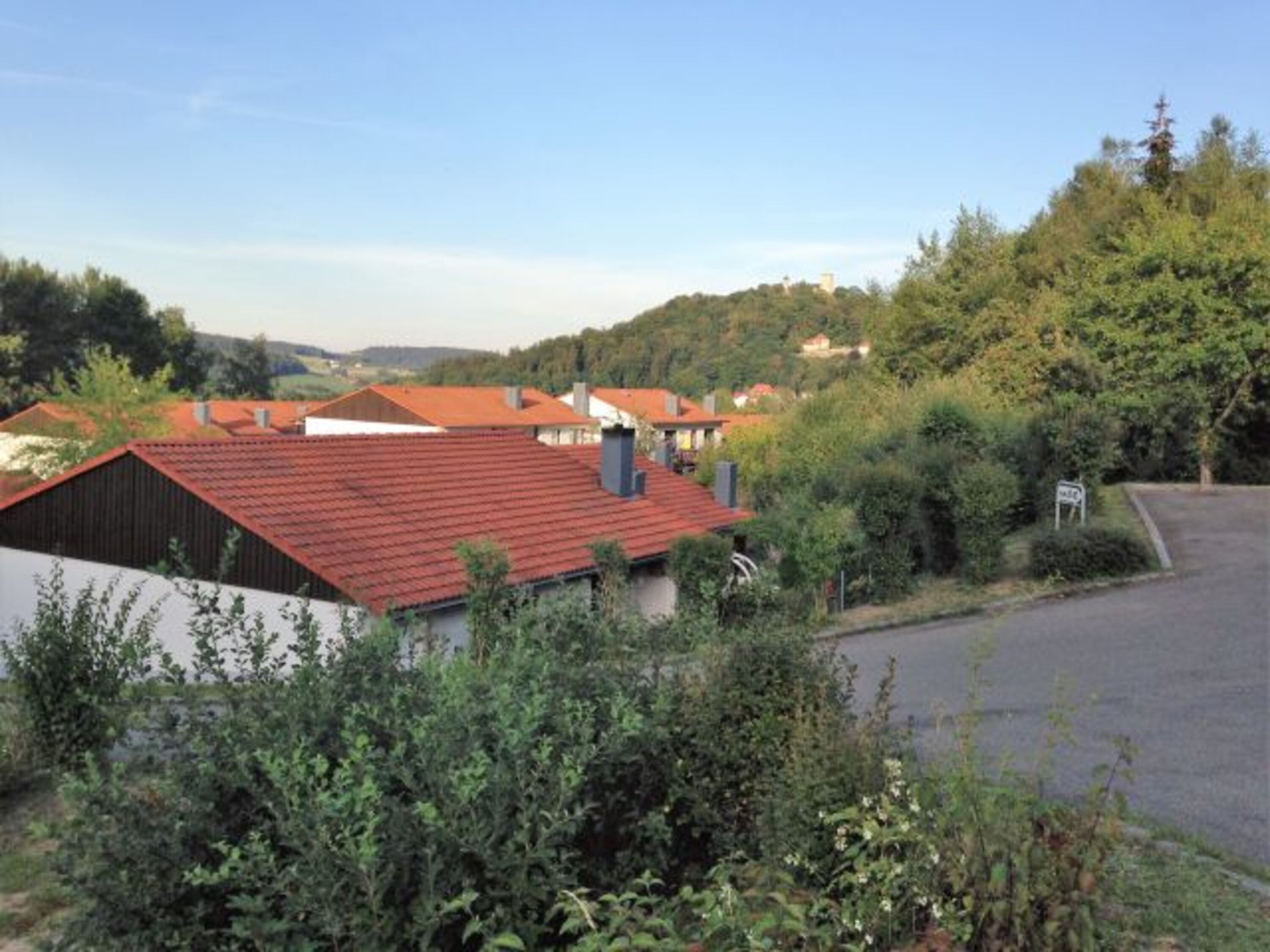Blick auf die Burg Falkenstein